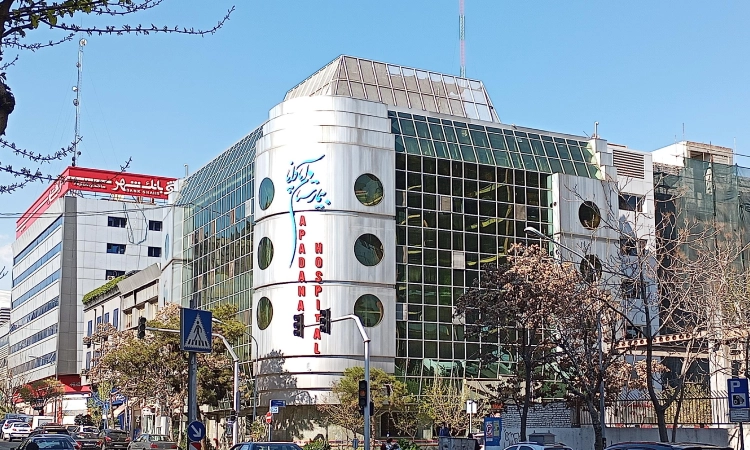 پروژه بیمارستان اپادانا گروه مهندسین تتا